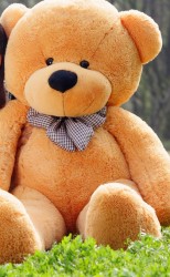 Teddy bear 160cm