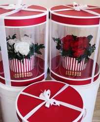 Miegančių rožių kompozicija raudonoje dėžutėje
