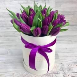 Violetinės tulpės dėžutėje